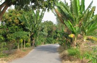 IMG_2268 IMG_2268