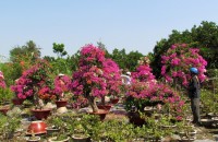IMG_0770 IMG_0770