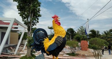 KHU DU LỊCH CÁI GÀ- CÁI MƠN SẮP KHAI TRƯƠNG KHU DU LỊCH CÁI GÀ- CÁI MƠN SẮP KHAI TRƯƠNG