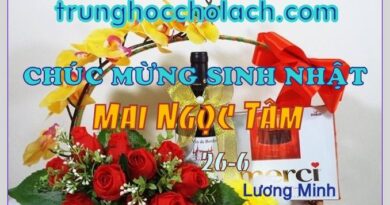 CHÚC MỪNG SINH NHẬT MAI NGỌC TÂM CHÚC MỪNG SINH NHẬT MAI NGỌC TÂM