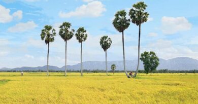 CANH TÁC ĐẤT CHÂN NÚI CANH TÁC ĐẤT CHÂN NÚI