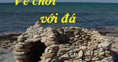 VỀ CHƠI VỚI ĐÁ CỦA QUÁCH ĐÀO VỀ CHƠI VỚI ĐÁ CỦA QUÁCH ĐÀO