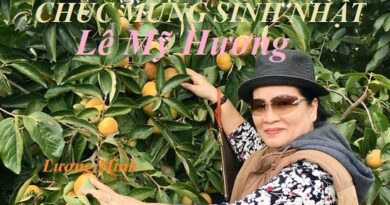 CHÚC MỪNG SINH NHẬT LÊ MỸ HƯƠNG CHÚC MỪNG SINH NHẬT LÊ MỸ HƯƠNG