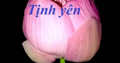 TỊNH YÊN CỦA PHONG TÂM TỊNH YÊN CỦA PHONG TÂM