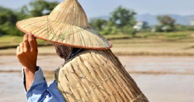 GIOT LỆ MÙA VU LAN GIOT LỆ MÙA VU LAN