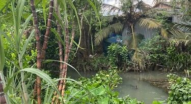CON SÔNG CỦA TUI ĐÂU ? CON SÔNG CỦA TUI ĐÂU ?