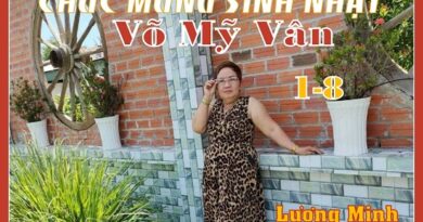 CHÚC MỪNG SINH NHẬT VO MỸ VÂN CHÚC MỪNG SINH NHẬT VO MỸ VÂN
